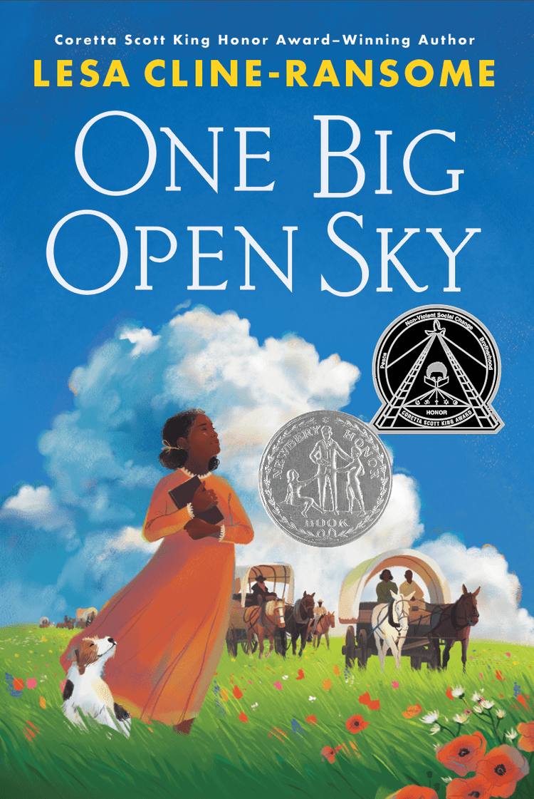 One Big Open&nbsp;Sky